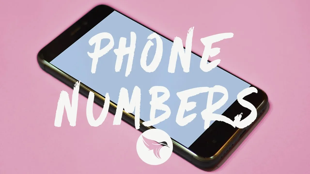 Dominic Fike - Phone Numbers (Lyrics)