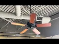 Hunter Paramount XP Ceiling Fan at Jimmy John s