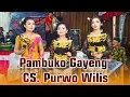 Download Lagu PAMBUKO GAYENG CAMPURSARI #PURWO WILIS TERBARU