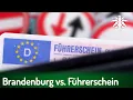 Download Lagu Bundesrat: Brandenburg vs. Führerschein | DHV-News # 478