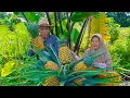 Lagu Panen Nanas Madu Jumbo untuk Bikin Kue Nastar Renyah \u0026 Lembut | Ayam Bacem, Loncom Sawi Putih