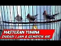 Download Lagu BURUNG YUHINA GACOR untuk MASTERAN durasi panjang 1 Jam + Gemricik air