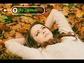 بياع كلام ..  سعدون جابر