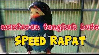 Download masteran tengkek buto gacor speed rapat#masteranburung#kicaumaniaprobolinggo MP3