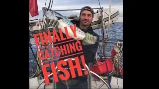 Sailing Ensenada to Turtle Bay Vlog#20