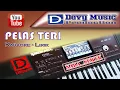 Download Lagu PELAS TERI karaoke