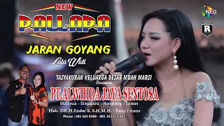 Download JARAN GOYANG LALA WIDI NEW PALLAPA LIVE GEMBLUNG SUKOLILO 2018 MP3