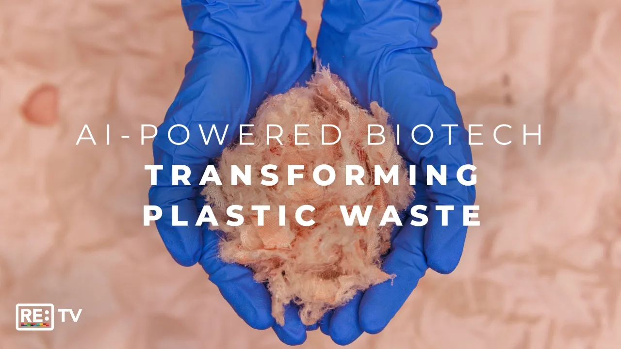 Epoch Biodesign: Engineering Plastic-Eating Enzymes