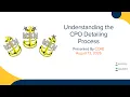 Understanding the CPO Detailing Process