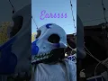 process of my skull dog pt 1
