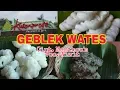 Download Lagu Geblek Wates Kulon Progo - Cipt. Manthous