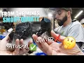 NATURAL VS HEATED SMOKY QUARTZ From The Mines