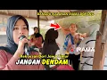 Download Lagu Ibu Muda Akhirnya Tak Terkendali Ikut Nyanyi Dan Goyang Dengar Suara Merdu Nia Dirgha Live Narmada