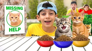 Jason बिल्ली के बच्चों की देखभाल करना सीखता है 🐱 मजेदार लुका-छिपी | बच्चों का शिक्षाप्रद वीडियो