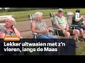 Download Lagu Óngerwaeg doet de dubbeltjesdans in Well