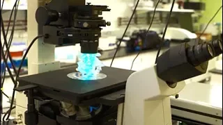uc san diego department of physics frontier research and education