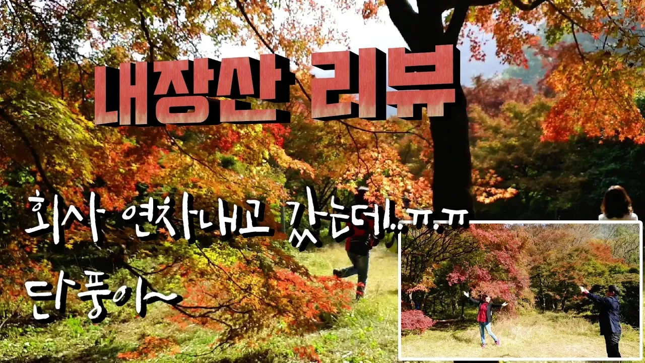 내장산리뷰  | 노지캠핑 | 전북 정읍 무료캠핑장 썸네일