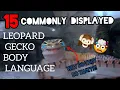 Leopard Gecko Body Language 15 Most Commonly Displayed