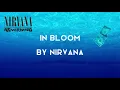 Download Lagu NIRVANA | IN BLOOM (LYRICS SONG)