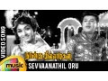 Download Lagu Naangu Killadigal Tamil Movie Song | Sevvaanathil Oru Natchathiram Video Song | Jaishankar