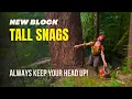 Download Lagu Nieuwe blokken en hoge snags