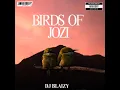 Download Lagu DJ BLAIZY Presents Birds of Jozi: perfect blend of Afro House music 