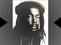 PETER TOSH REGGAE MYLITIS
