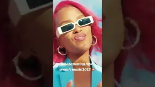 Netsanet Sultan Halaala New Ethiopian Oromo Music 20231 