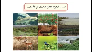 درس التنوع الحيوي في فلسطين   حل التدريبات  للصف العاشر   جغرافيا   الفصل    الدرس    الوحدة   دندنها