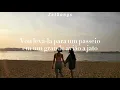 Big Jet Plane - Alok feat Mathieu Koss (legendado/tradução)