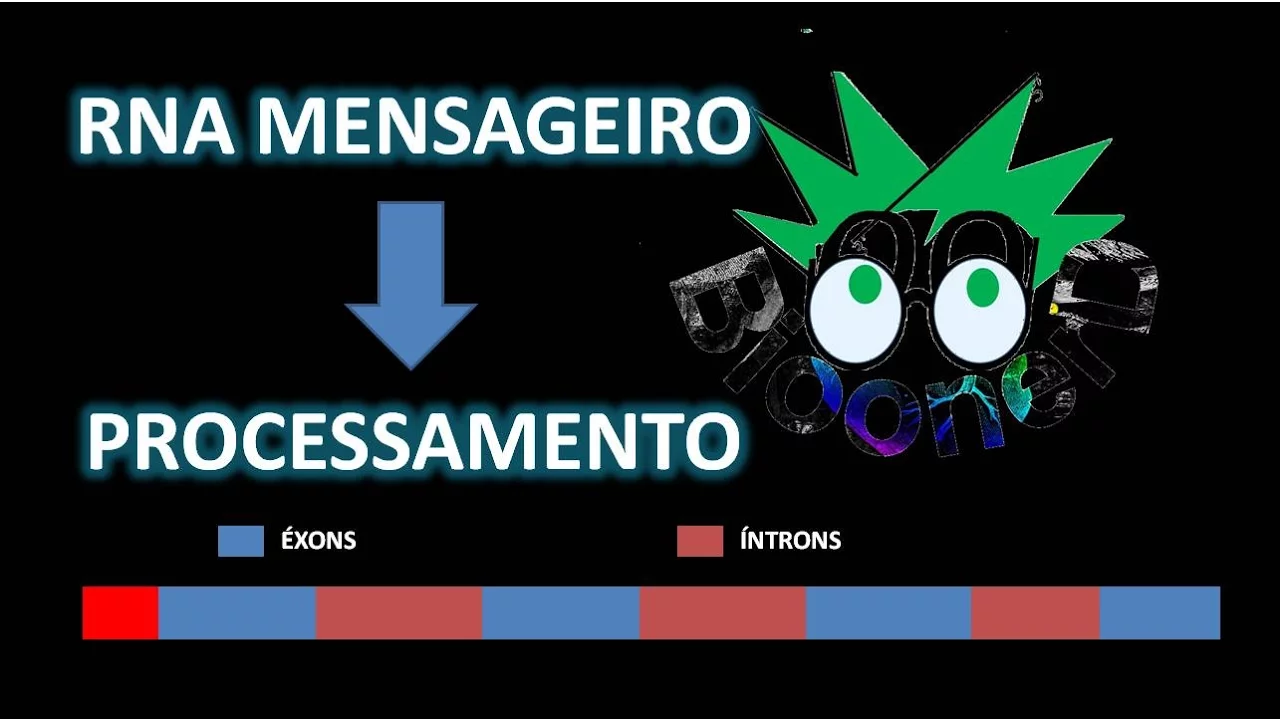 PROCESSAMENTO RNA
