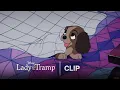Lagu Christmas Day Surprise | Lady and The Tramp | Official Clip