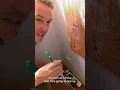 World s Deadliest Spider Invades Family Home