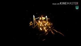 انت الدنيا وانت الدين الرادود محمد مرتضى 