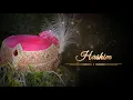 Wedding Invitation/Jashn-e-Bahara - Jodhaa Akbar