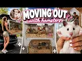 We Moved Into Our DREAM Hamster Room VLOG