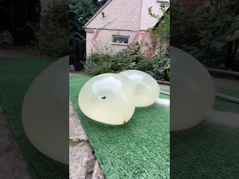 WATCH DOGE POP!💥