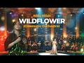 Lagu Billie Eilish – WILDFLOWER | Cinematic Orchestral Cover
