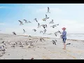 Living in Flour Bluff TX The Ultimate Local Guide Homes com