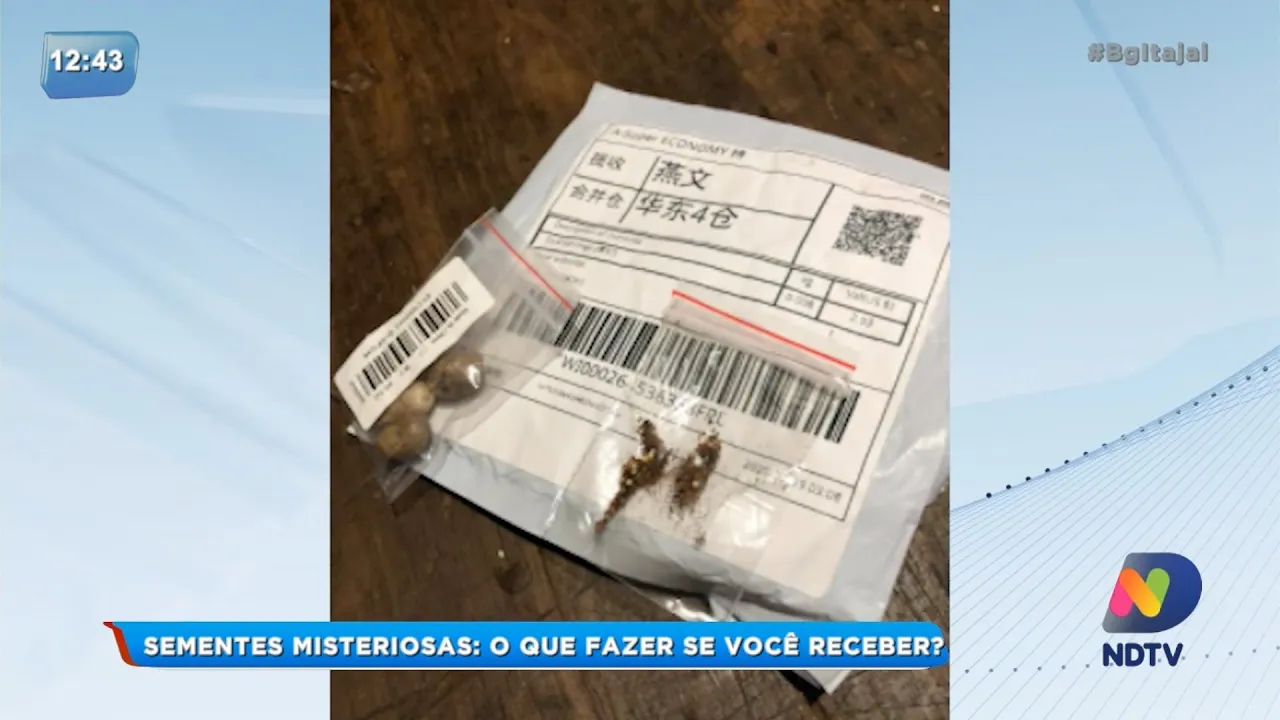 Sementes misteriosas: O que fazer se você receber?