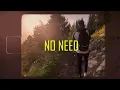 aleemrk - No Need | Prod. by UMAIR