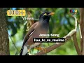 Download Lagu Jaa_to_re_maina /( जा तो रे मैना ) || jesus Song ||