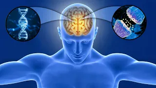 Ondas gama para ESTUDAR e MEMORIZAR RÁPIDO 🧠 AUMENTANDO A PRODUTIVIDADE