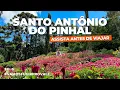 Discover SANTO ANTONIO do PINHAL SP Best Things to Do and Where to Eat With PRICES