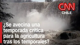 Alerta en el campo: ¿Qué tan complicada será la temporada tras el paso de las lluvias?