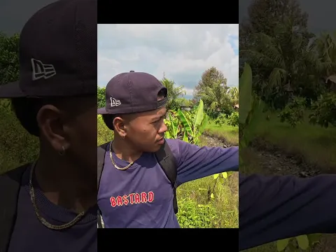Banyak ikan yang mati Karna kemarau #KOOKIKO