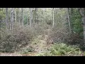 PA Season 2023 Scouting - Part 3 Quick Scout of New Bear Hunting Spot