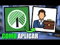 How to apply for a job at Dollar Tree step by step