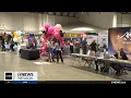 People looking for jobs at the Biggest Business Expo and Career Fair