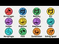 Every Stomach noise explained in 10 minutes